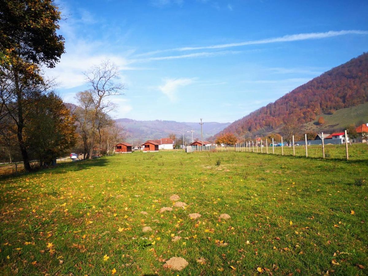 Casute Zavoi Bulz Villa Exterior foto