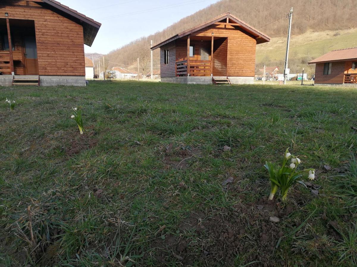 Casute Zavoi Bulz Villa Exterior foto