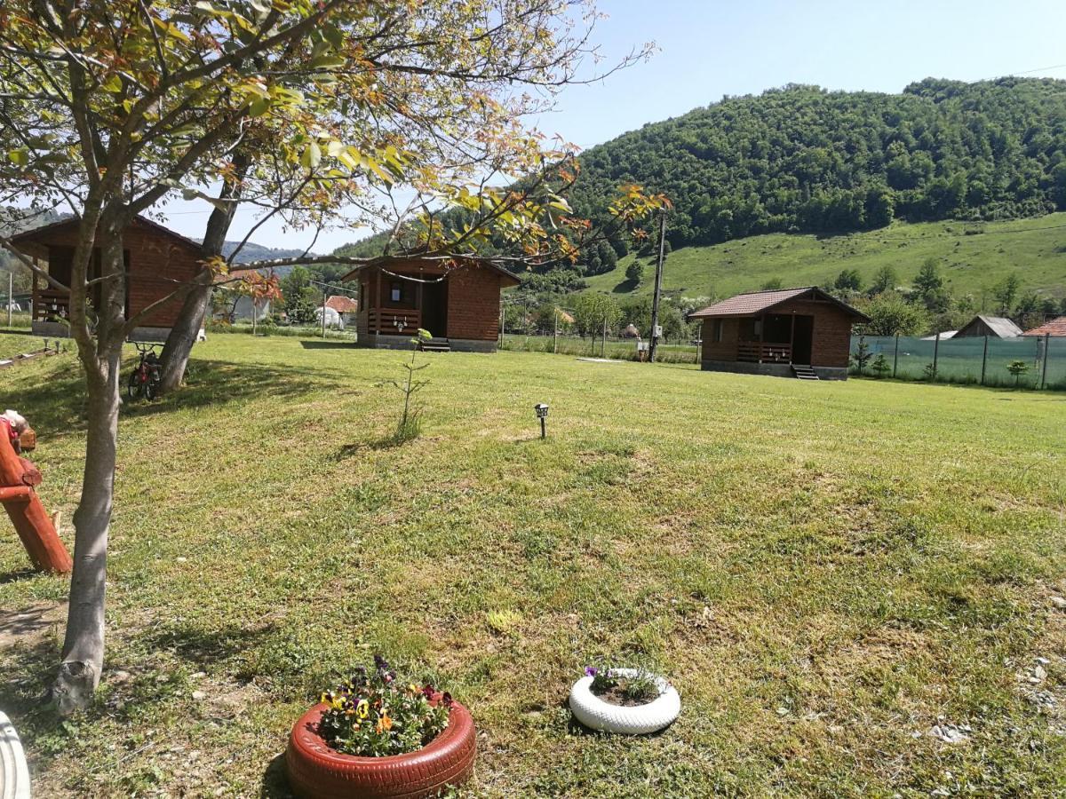 Casute Zavoi Bulz Villa Exterior foto