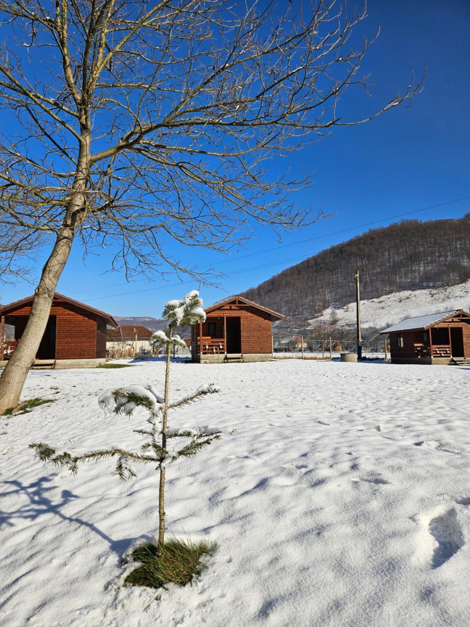 Casute Zavoi Bulz Villa Exterior foto