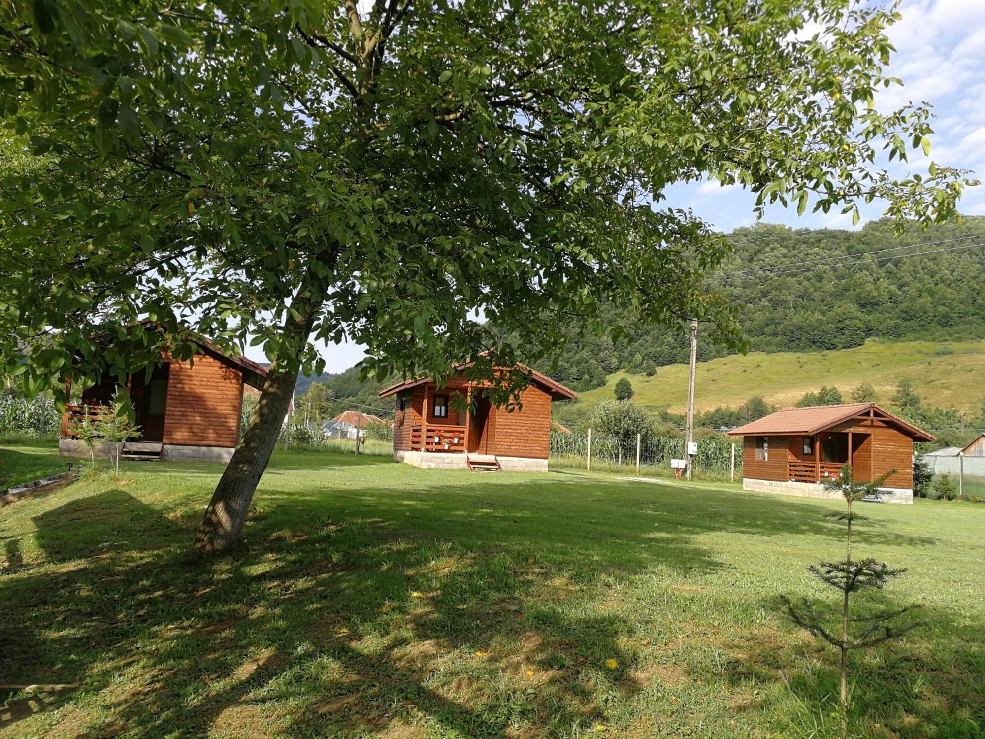 Casute Zavoi Bulz Villa Exterior foto