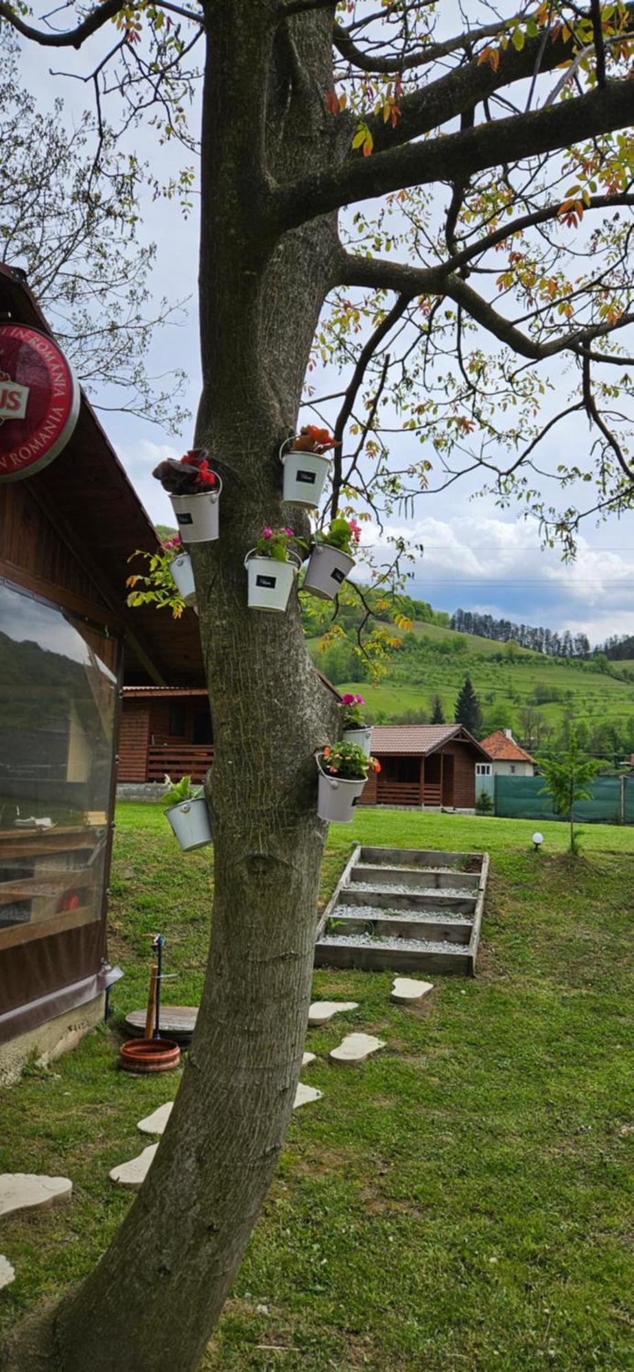 Casute Zavoi Bulz Villa Exterior foto